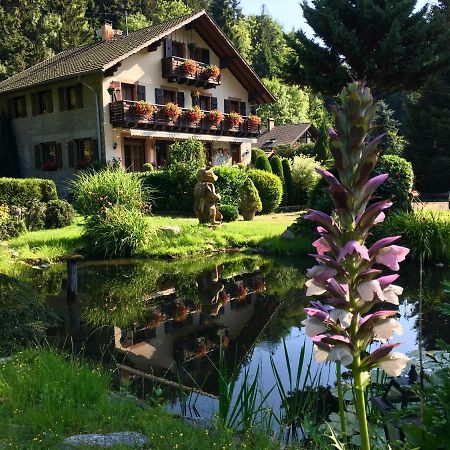 Chambres D'Hotes Des Cascades St-Nicolas Kruth エクステリア 写真