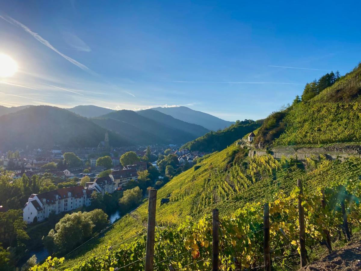 Chambres D'Hotes Des Cascades St-Nicolas Kruth エクステリア 写真