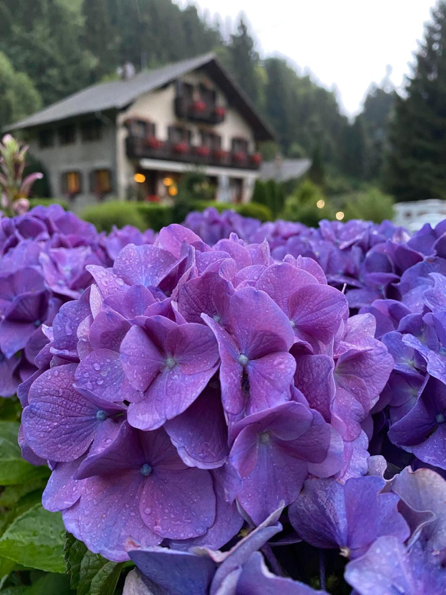 Chambres D'Hotes Des Cascades St-Nicolas Kruth エクステリア 写真
