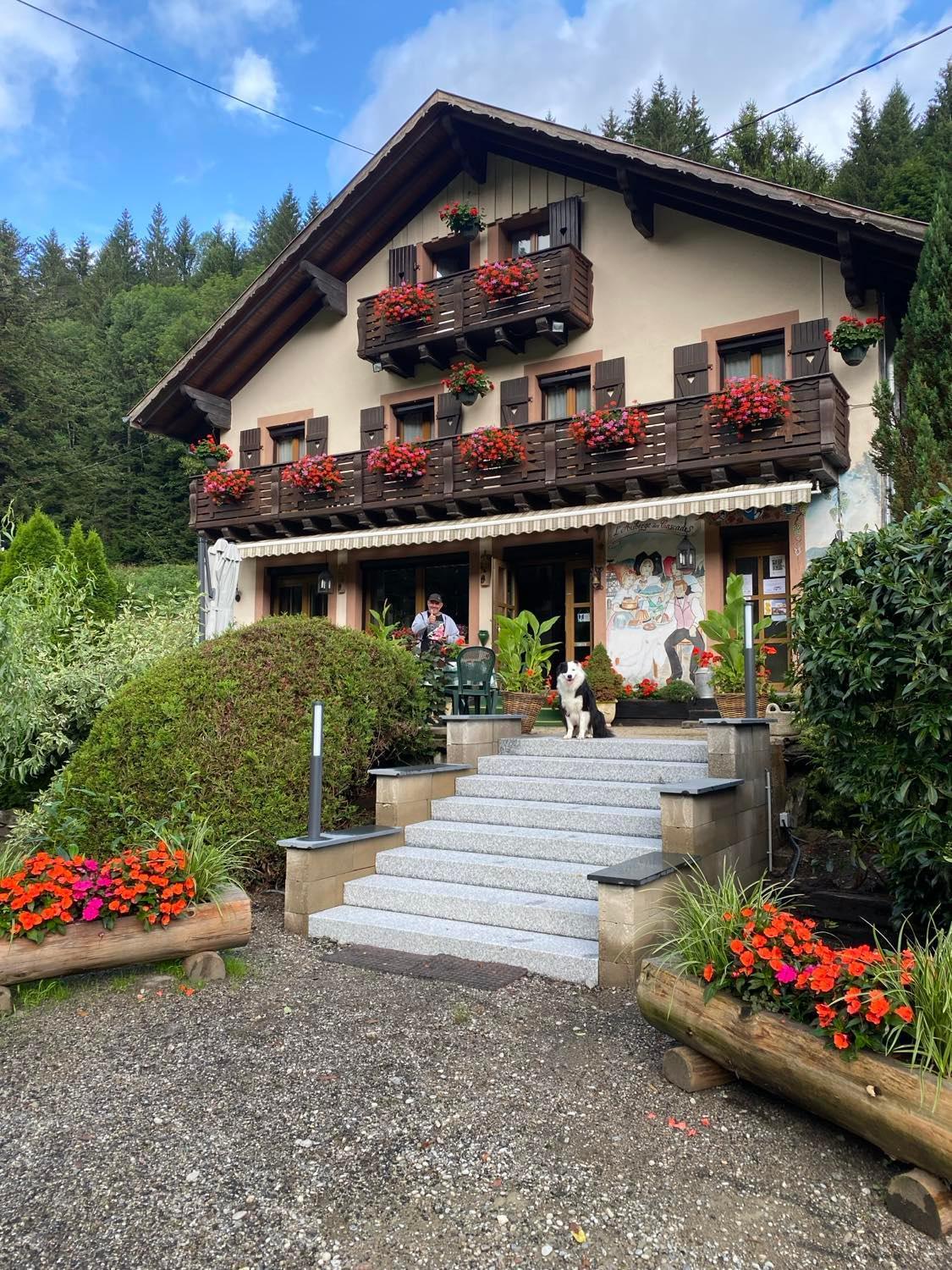 Chambres D'Hotes Des Cascades St-Nicolas Kruth エクステリア 写真