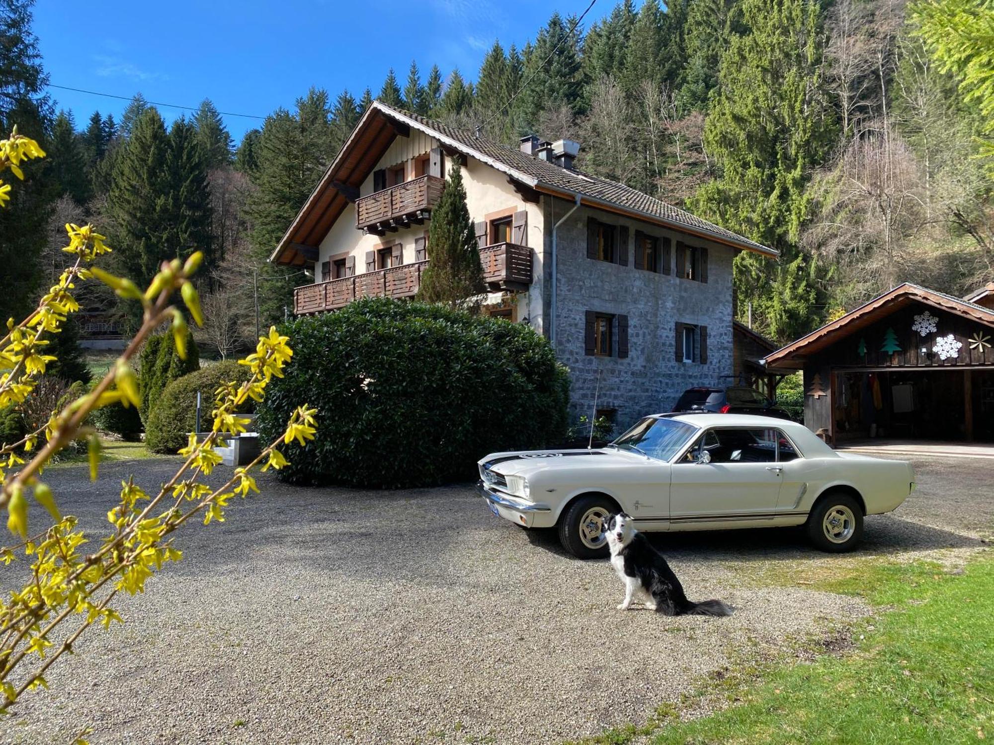 Chambres D'Hotes Des Cascades St-Nicolas Kruth エクステリア 写真