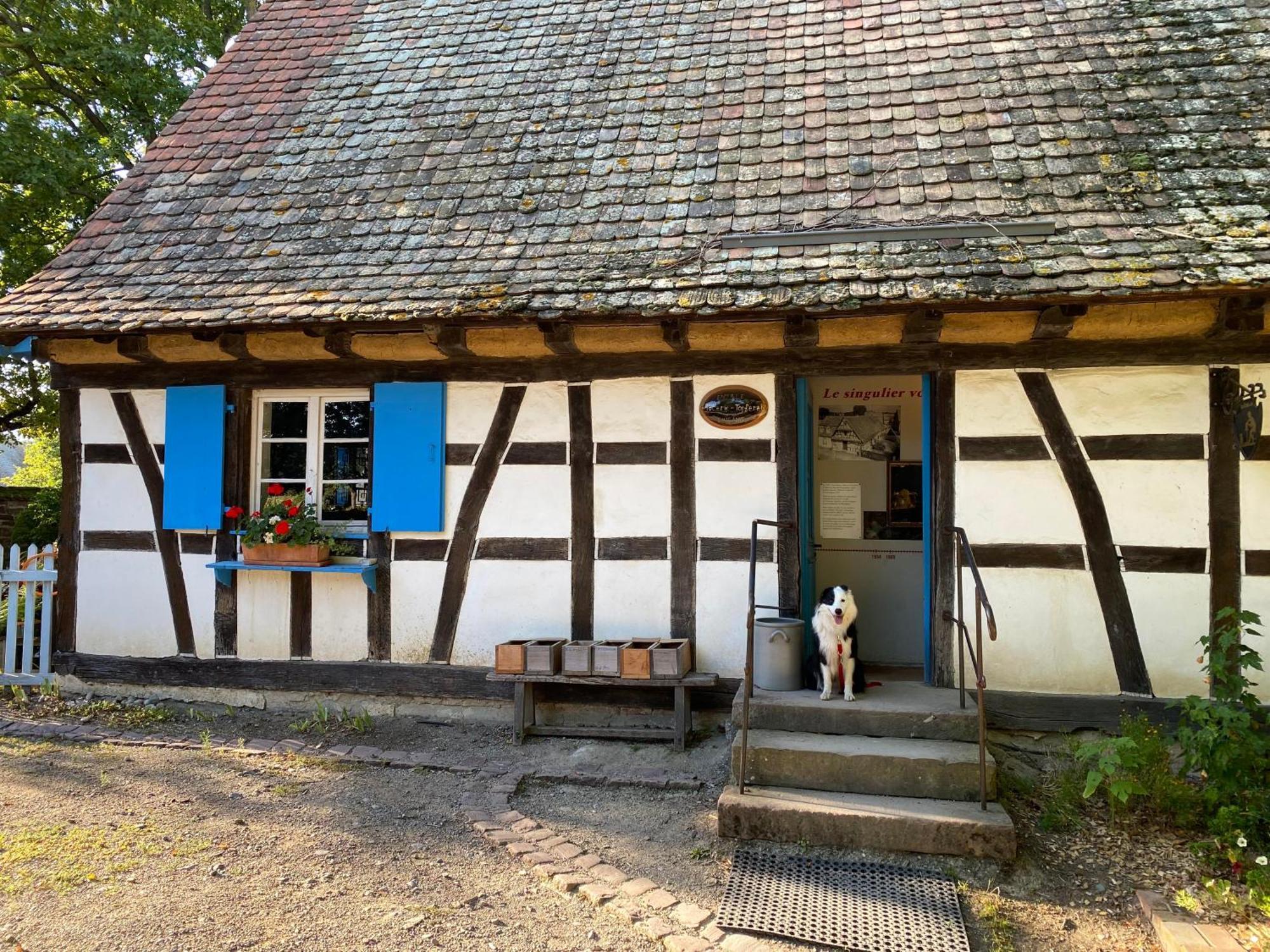 Chambres D'Hotes Des Cascades St-Nicolas Kruth エクステリア 写真