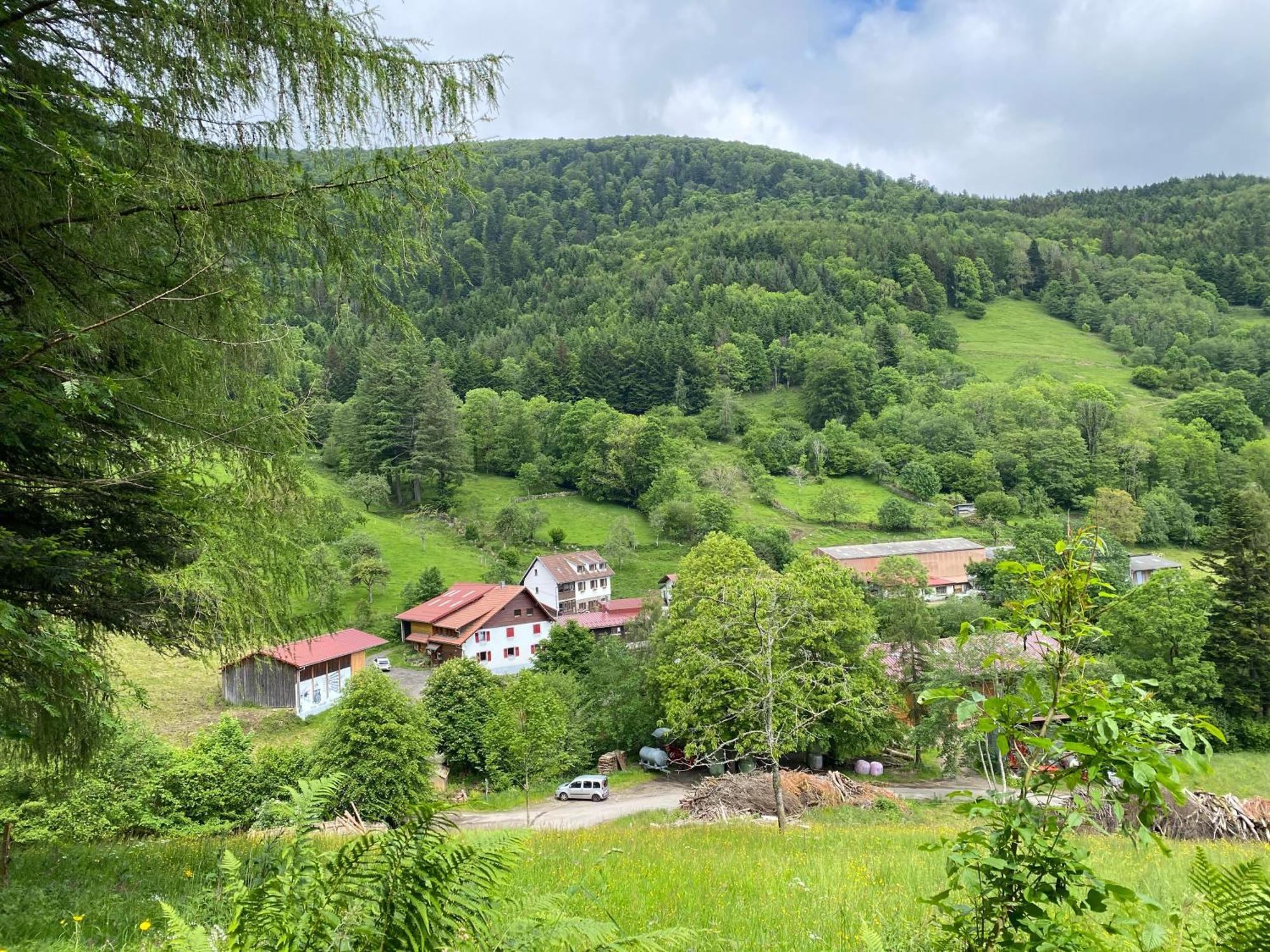 Chambres D'Hotes Des Cascades St-Nicolas Kruth エクステリア 写真