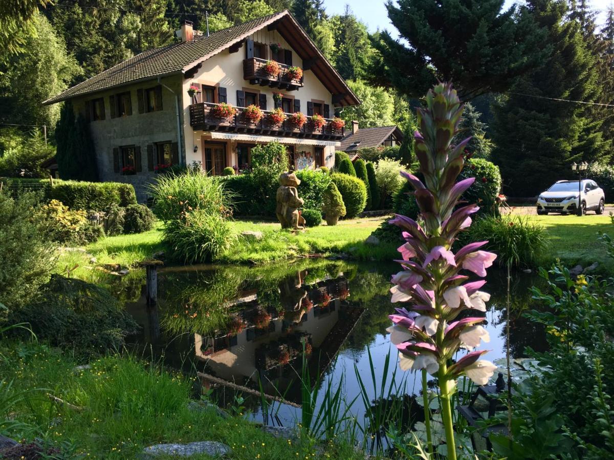 Chambres D'Hotes Des Cascades St-Nicolas Kruth エクステリア 写真