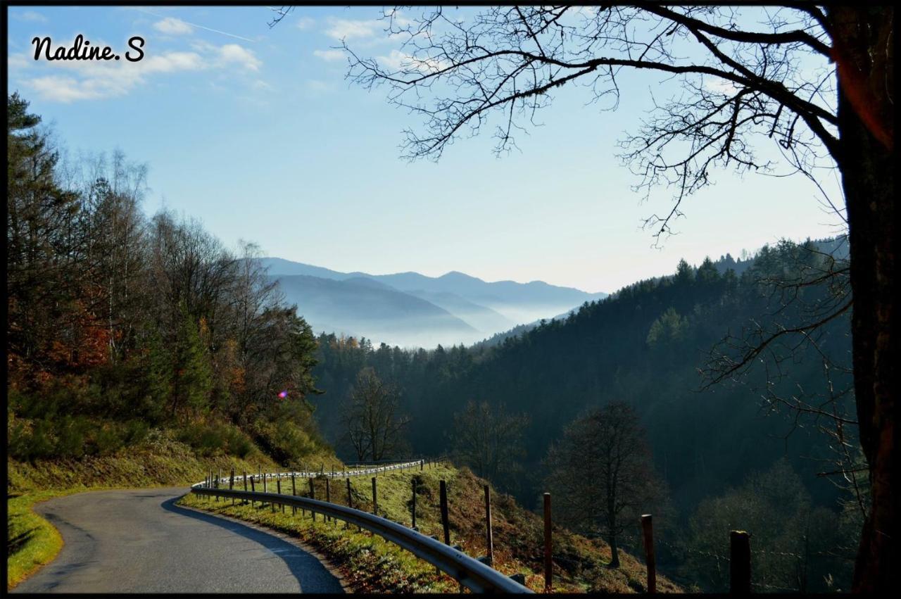 Chambres D'Hotes Des Cascades St-Nicolas Kruth エクステリア 写真