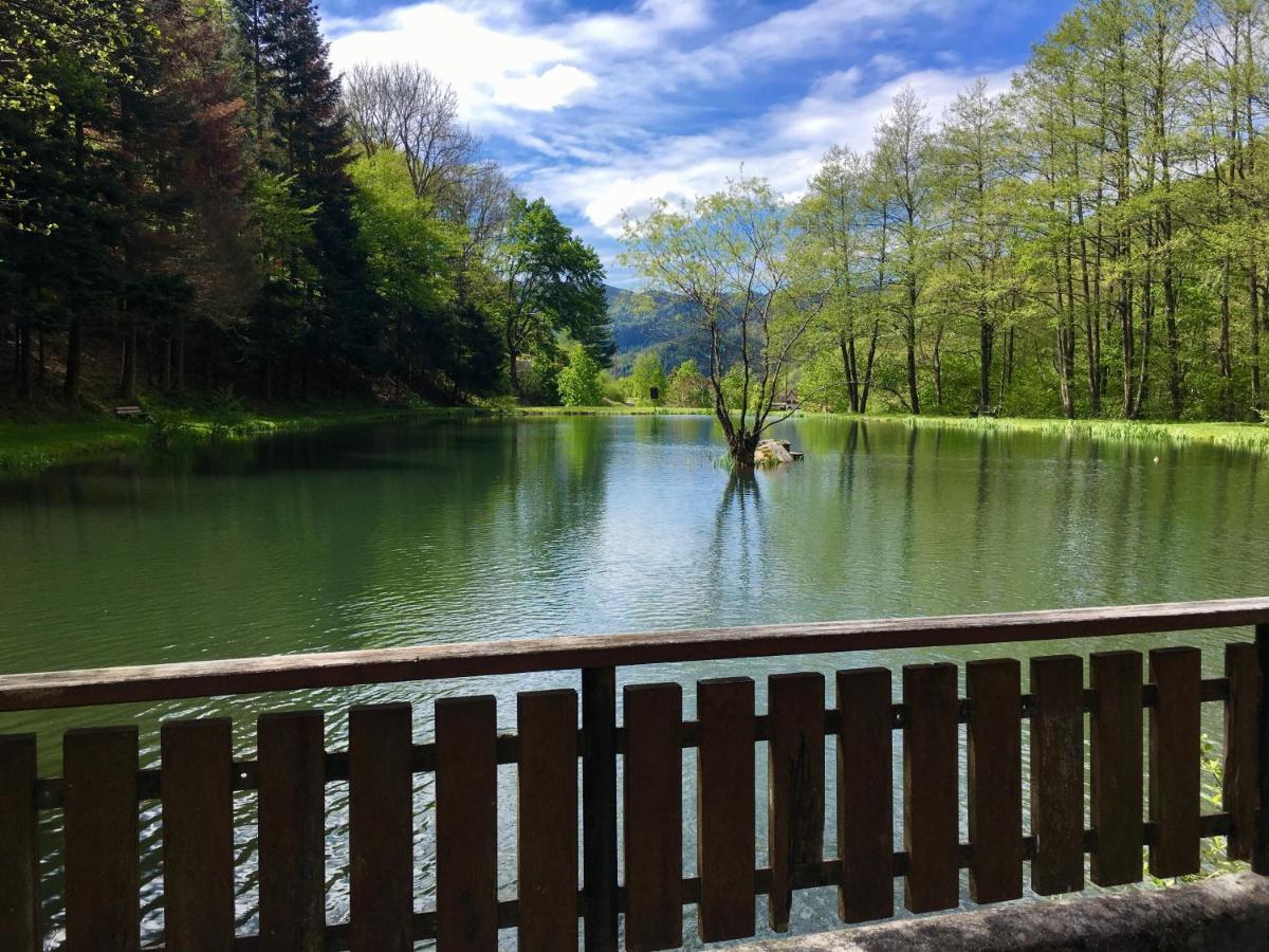 Chambres D'Hotes Des Cascades St-Nicolas Kruth エクステリア 写真